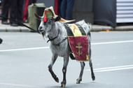 Spanish Royals Attend Armed Forces Day 2018